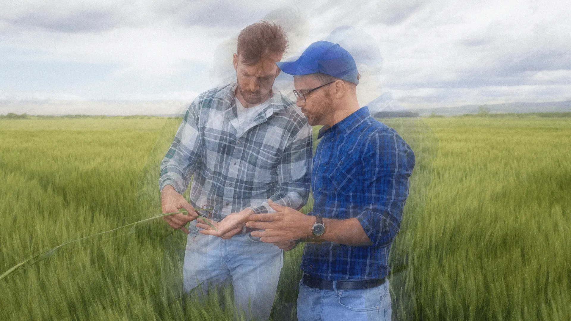 Is your IT team stretched? 4 Ways an MSP can support your network